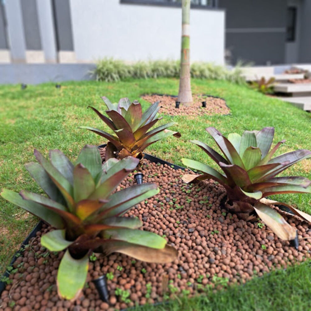 Casa de Condomínio, 3 quartos - Foto 29