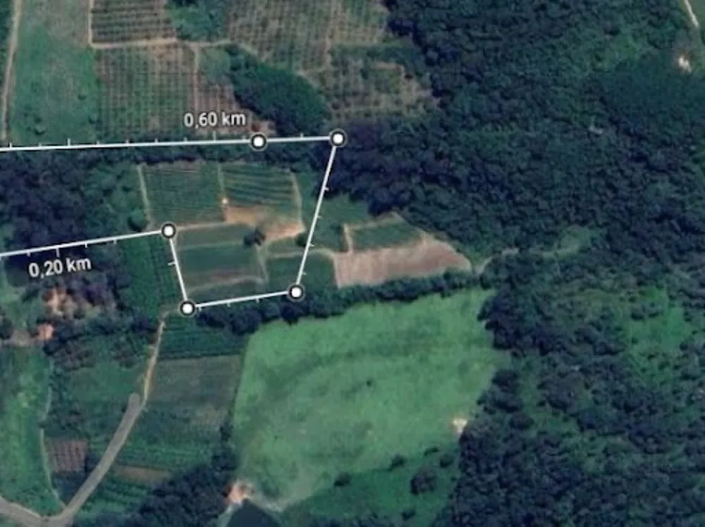 Terreno, 8 hectares - Foto 4