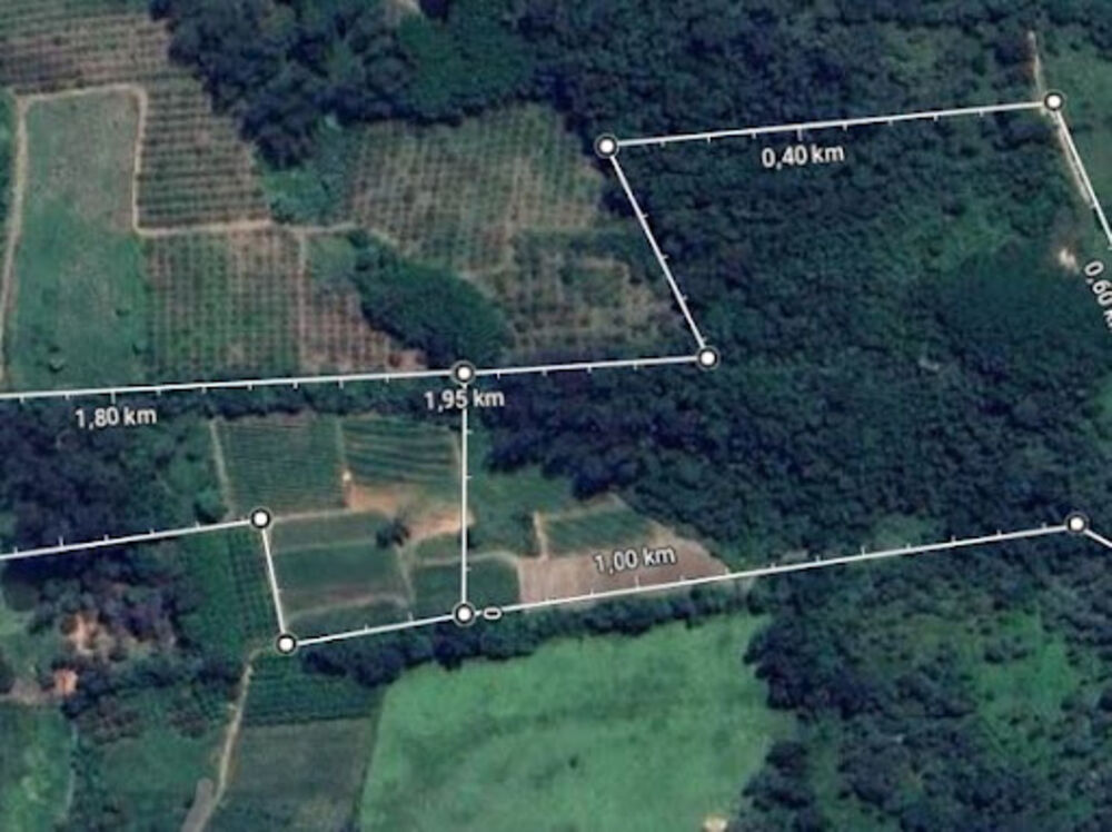 Terreno, 8 hectares - Foto 4