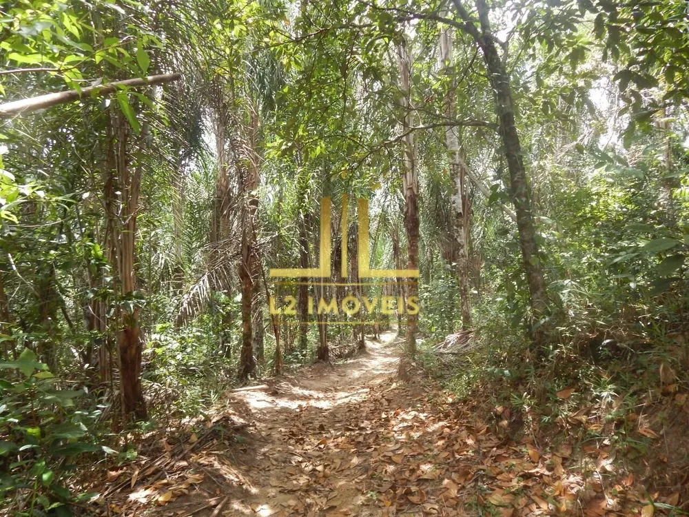 Fazenda, 75 hectares - Foto 6