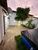 Casa, 4 quartos, 230 m² - Foto 3
