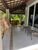 Casa, 4 quartos, 495 m² - Foto 3