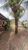 Casa, 4 quartos, 250 m² - Foto 6