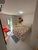 Casa, 4 quartos, 450 m² - Foto 13