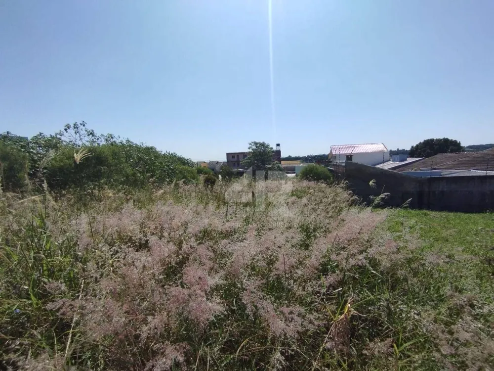 Terreno, 250 m² - Foto 3