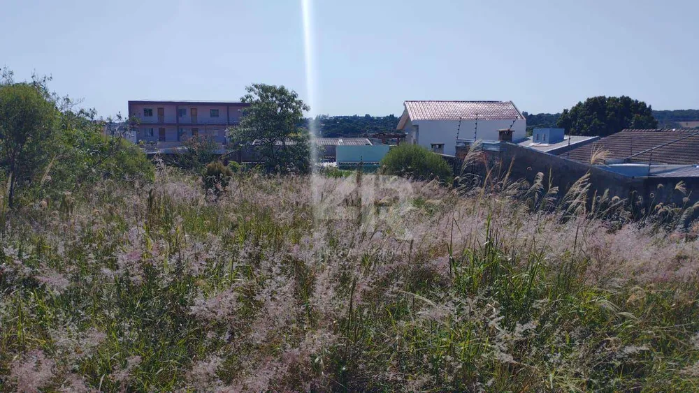 Terreno, 250 m² - Foto 2