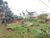 Terreno, 600 m² - Foto 4