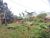 Terreno, 600 m² - Foto 3