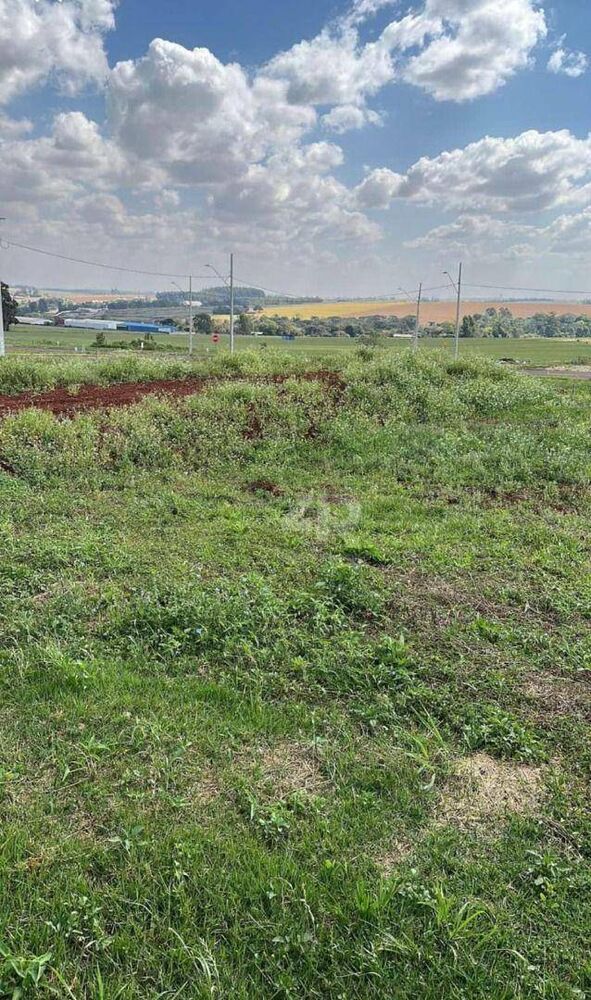 Terreno, 375 m² - Foto 6