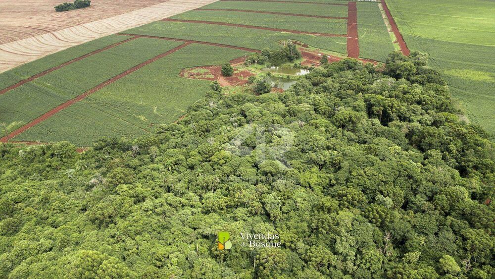 Chácara, 1000 m² - Foto 11