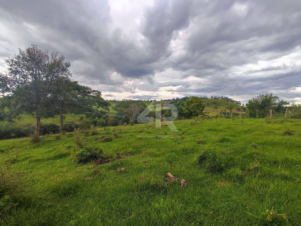 Terreno à venda, 242000M2 - Foto 4