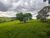 Terreno, 24 hectares - Foto 8