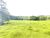Terreno, 24 hectares - Foto 2