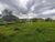 Terreno, 24 hectares - Foto 4