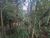 Terreno, 24 hectares - Foto 10