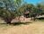 Terreno, 24 hectares - Foto 15