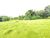 Terreno, 24 hectares - Foto 6