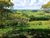 Terreno, 24 hectares - Foto 1