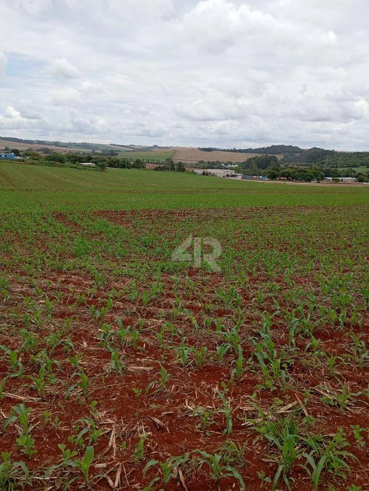 Chácara, 1500 m² - Foto 1