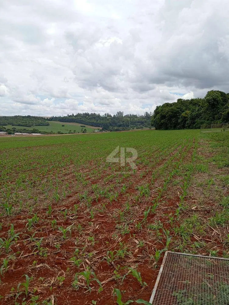 Chácara, 1500 m² - Foto 2