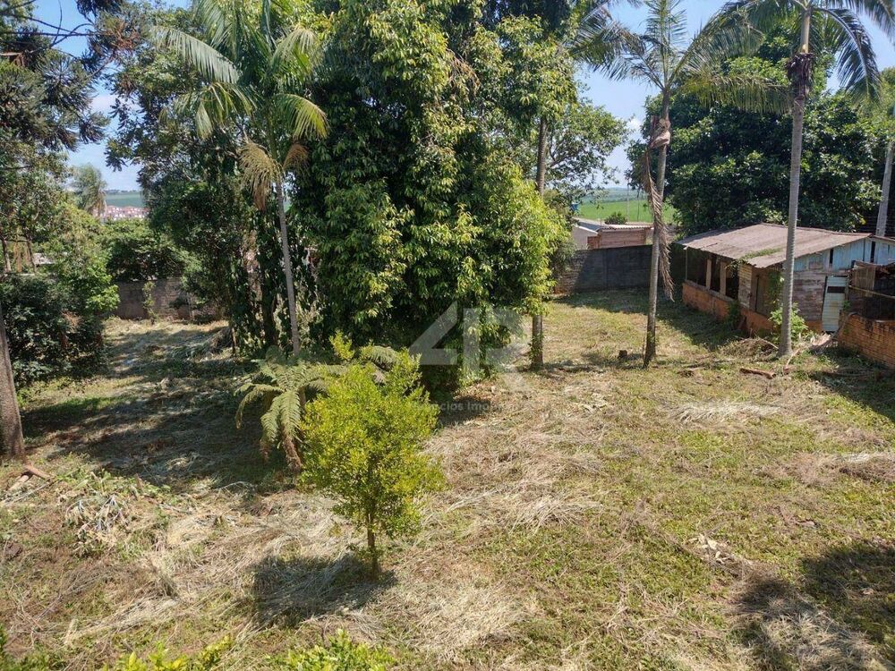 Chácara à venda com 4 quartos, 3007M2 - Foto 12