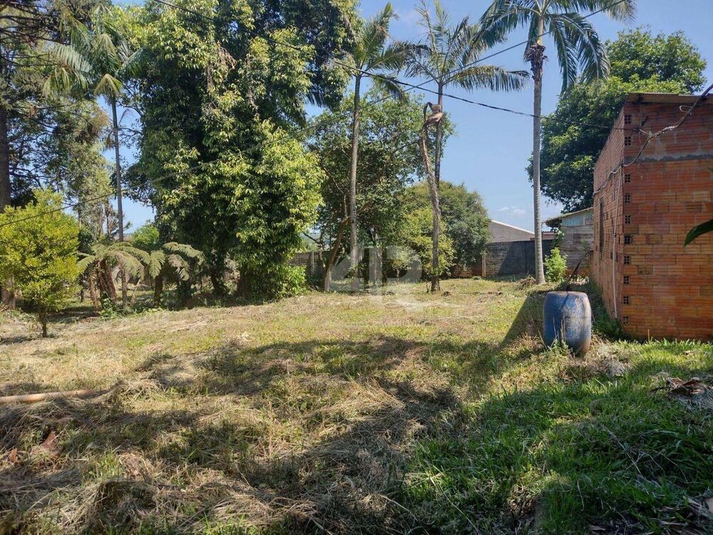 Chácara à venda com 4 quartos, 3007M2 - Foto 15