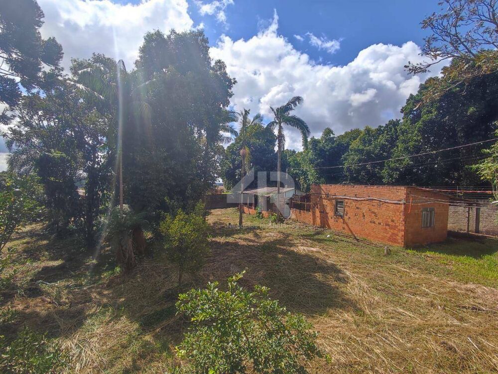 Chácara à venda com 4 quartos, 3007M2 - Foto 11