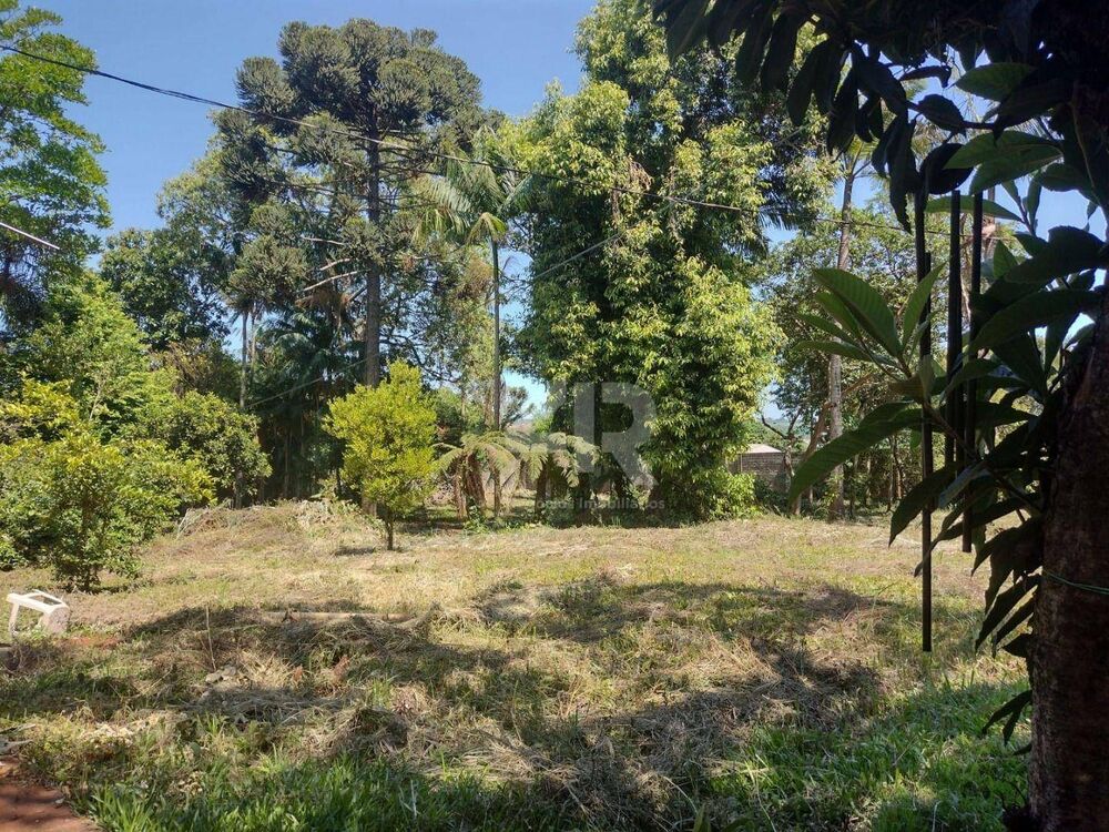 Chácara à venda com 4 quartos, 3007M2 - Foto 13