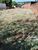 Terreno, 457 m² - Foto 2