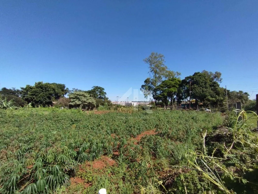Chácara, 3000 m² - Foto 4
