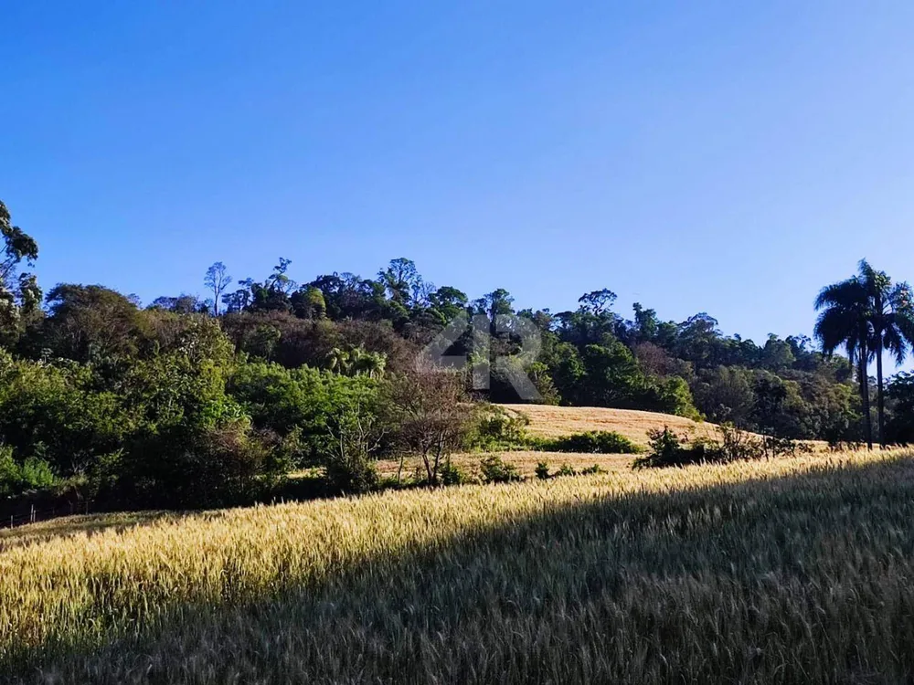 Chácara, 9600 m² - Foto 2