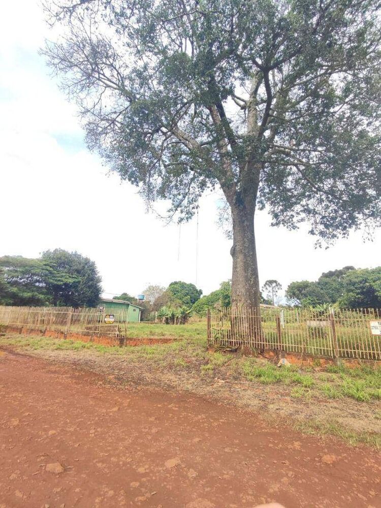 Terreno à venda, 541M2 - Foto 3