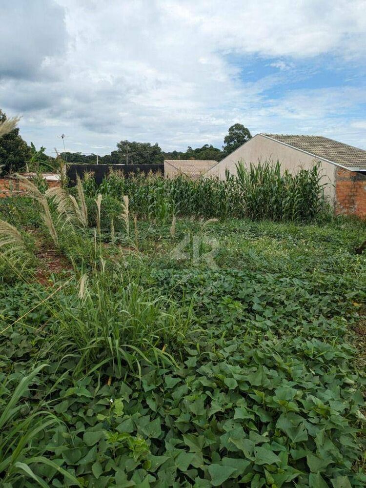 Terreno, 250 m² - Foto 4