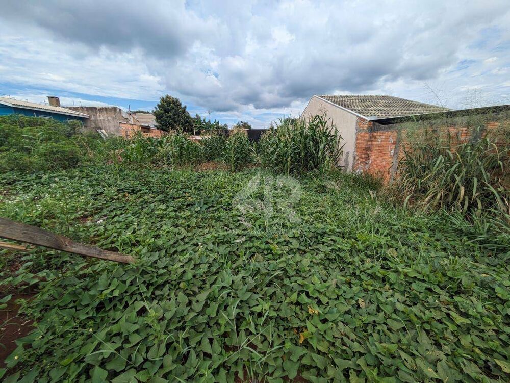 Terreno, 250 m² - Foto 1