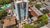 Apartamento, 3 quartos, 215 m² - Foto 1