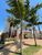 Sobrado, 3 quartos, 286 m² - Foto 2