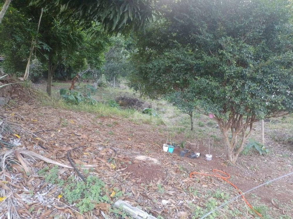 Chácara, 2 quartos, 1900 m² - Foto 21