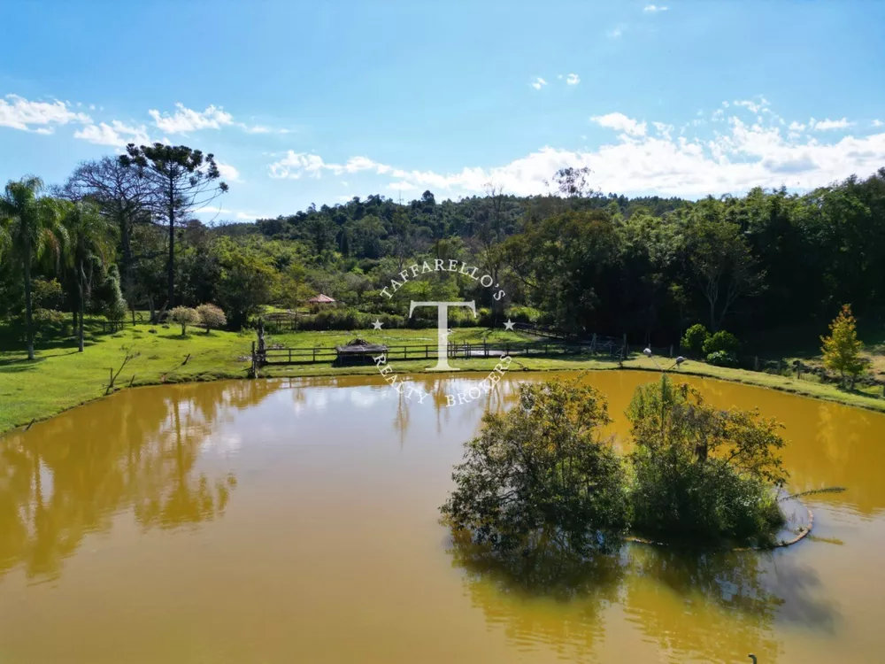 Fazenda à venda com 5 quartos, 1000m² - Foto 1