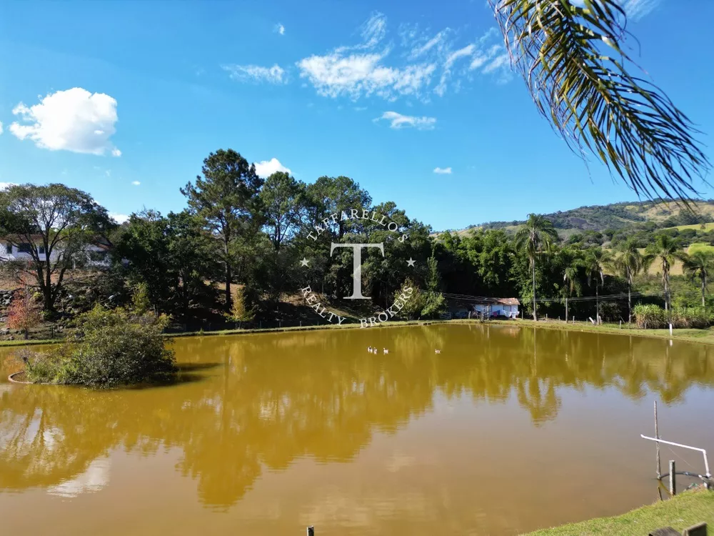 Fazenda à venda com 5 quartos, 1000m² - Foto 4