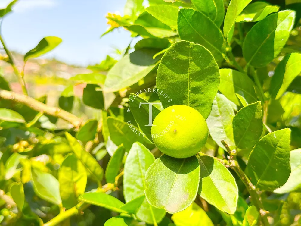 Casa de Condomínio, 3 quartos - Foto 20