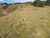 Terreno, 2 hectares - Foto 8