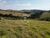 Terreno, 2 hectares - Foto 10