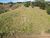 Terreno, 2 hectares - Foto 13