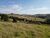 Terreno, 2 hectares - Foto 12