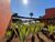 Terreno, 1354 m² - Foto 13