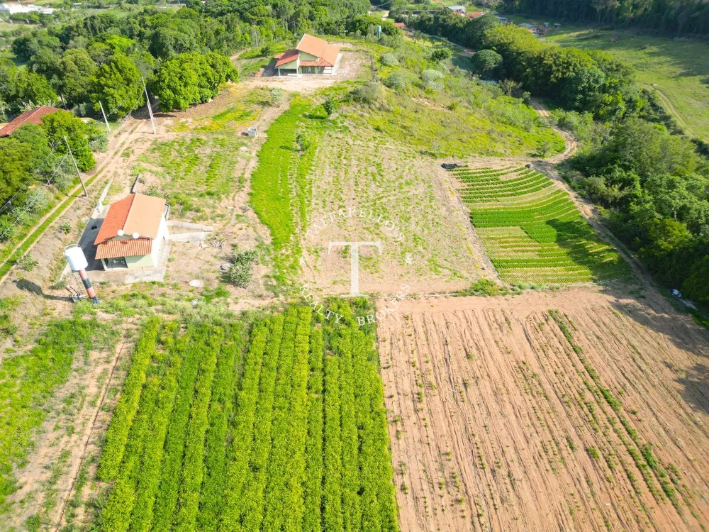 Fazenda à venda com 3 quartos, 318m² - Foto 4