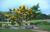 Terreno, 448 m² - Foto 15