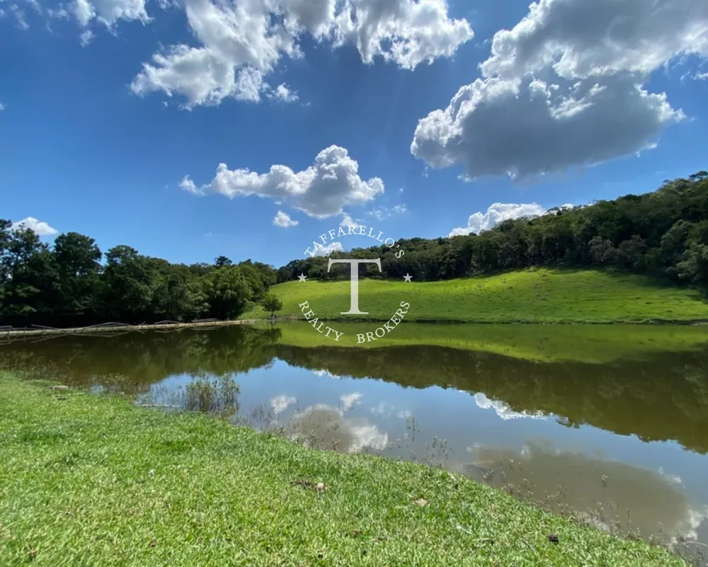 Fazenda à venda com 4 quartos, 600m² - Foto 2