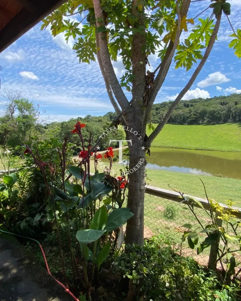 Fazenda à venda com 4 quartos, 600m² - Foto 3