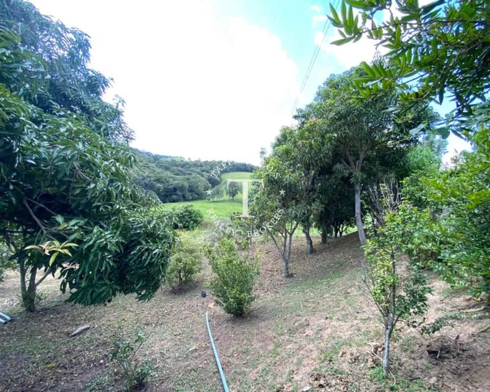 Fazenda à venda com 4 quartos, 600m² - Foto 14